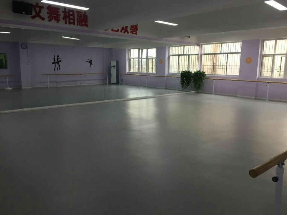 榆林舞蹈艺术学苑舞蹈室地胶成功案例